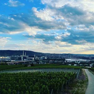 Magic view @stuttgarttourismus (Stuttgart) #untertürkheimergips #weingutaldinger #vdp_wasfuerweine #wine #remstal…