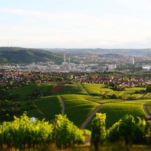 Beautiful view from the #lämmler @stuttgarttourismus #weingutaldinger #vdp_wasfuerweine #wine #remstal #württemberg…